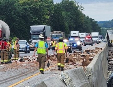 Firefighters work to clean up hot dogs spilled from a truck on a highly traveled interstate