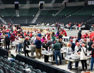 volunteers packing food