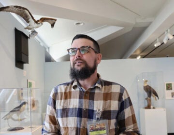 Dana Erhet posing for a photo inside the museum