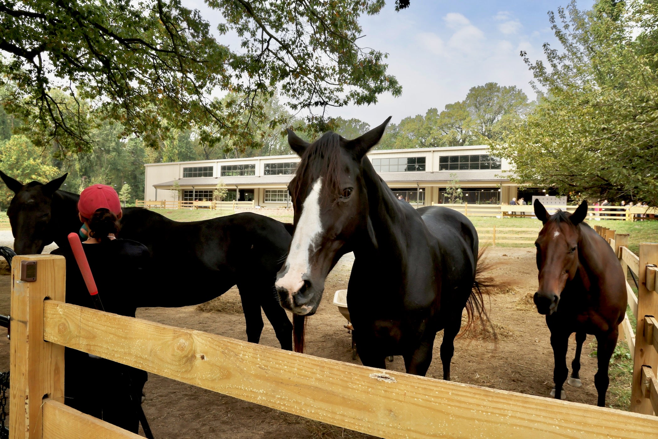 2025-09-24-e-lee-philadelphia-