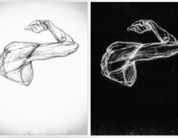 Muscle drawing