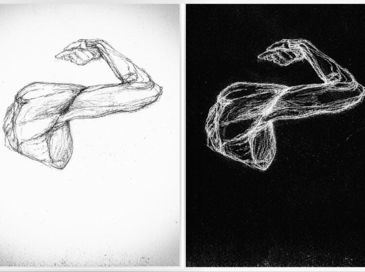 Muscle drawing