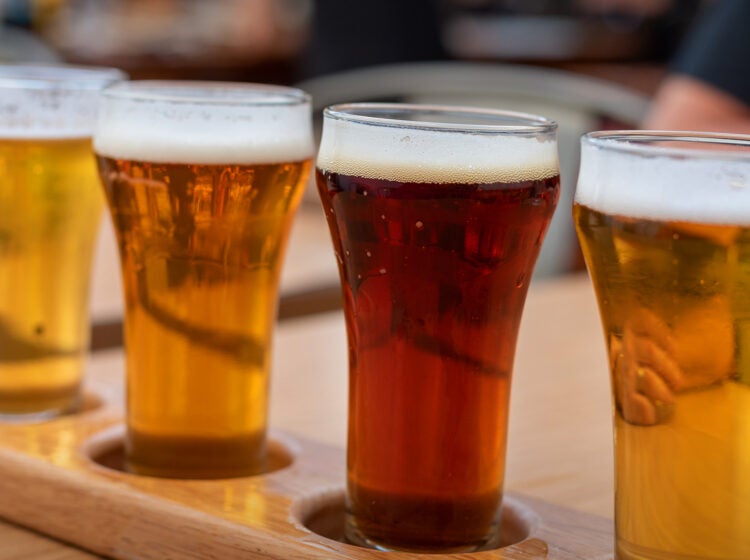 Four glasses of beer