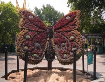 Sculpture of a butterfly