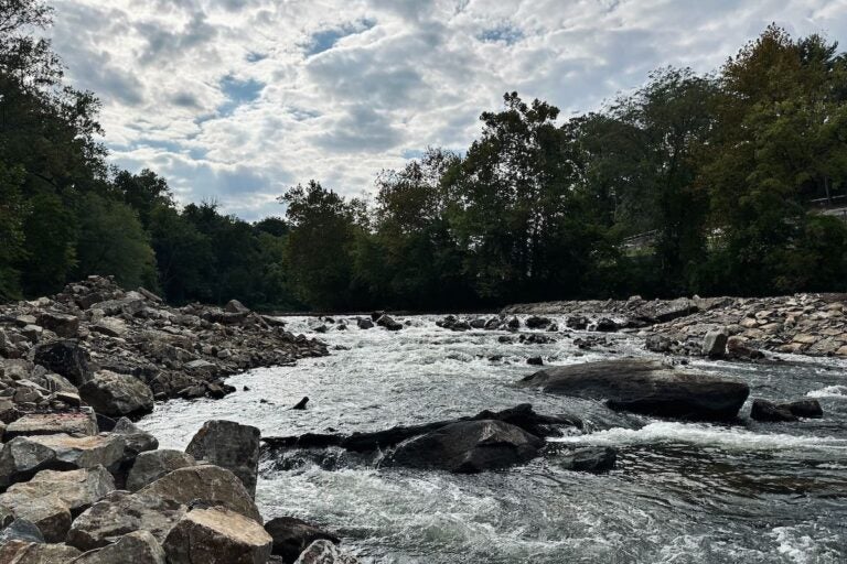 Removal of Brandywine River Dam