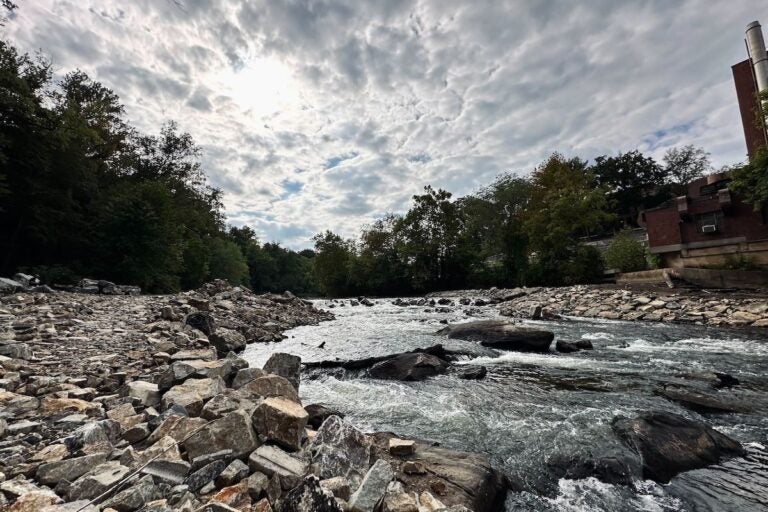 Removal of Brandywine River Dam