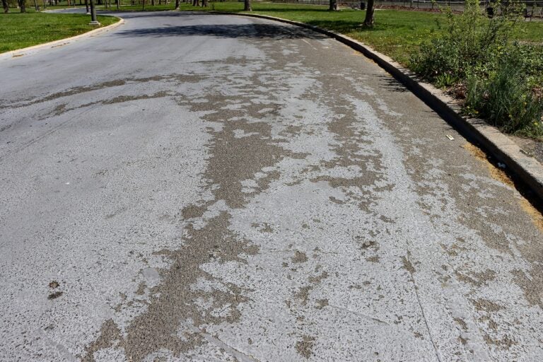 A paved road, with some of the white coat peeling off