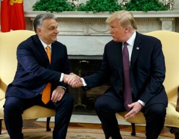 Donald Trump and Viktor Orbán shaking hands while sitting next to each other