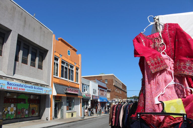Around 50 vendors offered a range of cuisines and goods at Upper Darby's International Festival on September 20, 2025. (Emily Neil/WHYY)