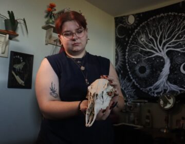 Charlee Heinz collects and cleans animal bones to use them in works of art. (Lise Peet)