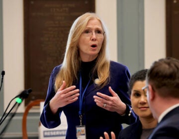 2025-04-10-stephanie-hansen-dover-delaware-legislative-hall-senate-2-nuclear-energy Stephanie L. Hansen speaks