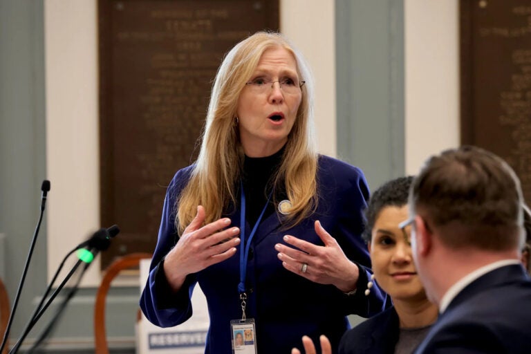 Stephanie L. Hansen speaks