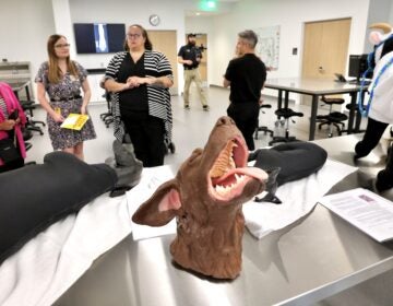the clinical skills lab at the Shreiber School of Veterinary Medicine