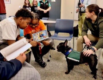 students reading alongside Maverick, a String Theory School therapy dog