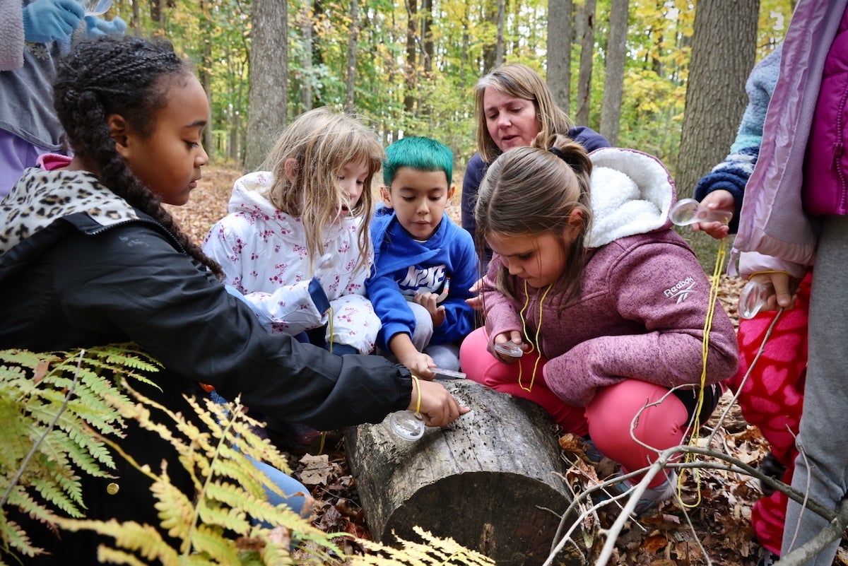 2025 10 28-e lee-croydon pa keystone elementary school-nature club log Students investigate the surface of a log