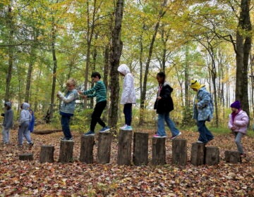 2025 10 28-e lee-croydon pa keystone elementary school-nature club stepping stumps Students cross bridge of wooden stumps