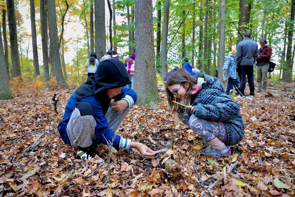 2025 10 28-e lee-tucker leonard kailyn little-croydon pa keystone elementary school-nature club magnify ucker Leonard (left) and Kailyn Little look for signs of life in the leaf litter during an outing