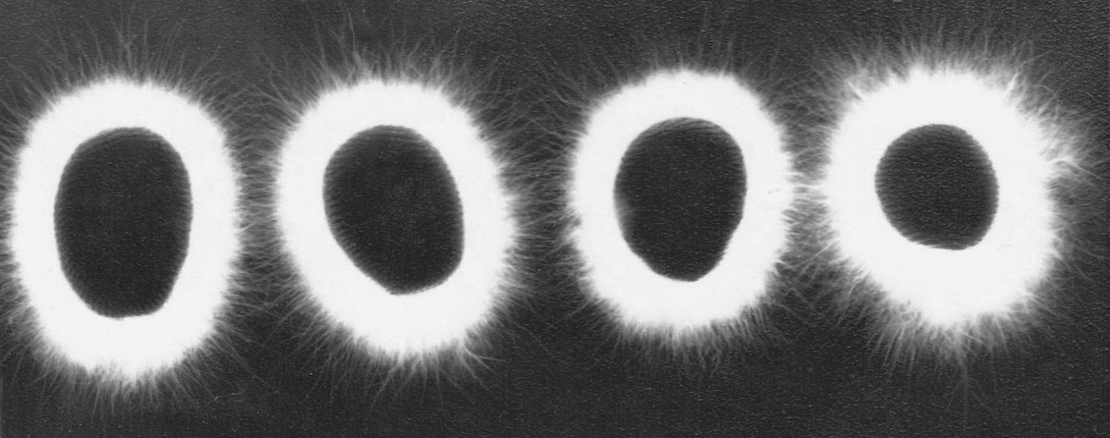 A Kirlian Photograph of Heather Harris's fingertips. (Heather Harris)