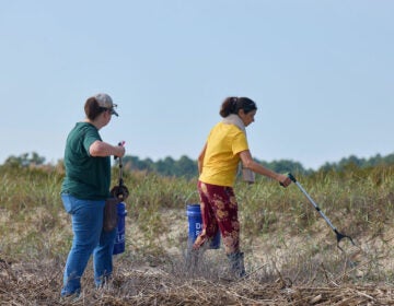 Volunteers picking up trash at the shore
