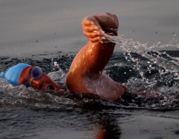 Diana Nyad American endurance swimmer Diana Nyad , 61, swims in Cuban waters, offshore Havana, Cuba, Sunday, Aug. 7, 2011. Nyad jumped into Cuban waters Sunday evening and set off in a bid to become the first person to swim across the Florida Straits without the aid of a shark cage. (AP Photo/Franklin Reyes)