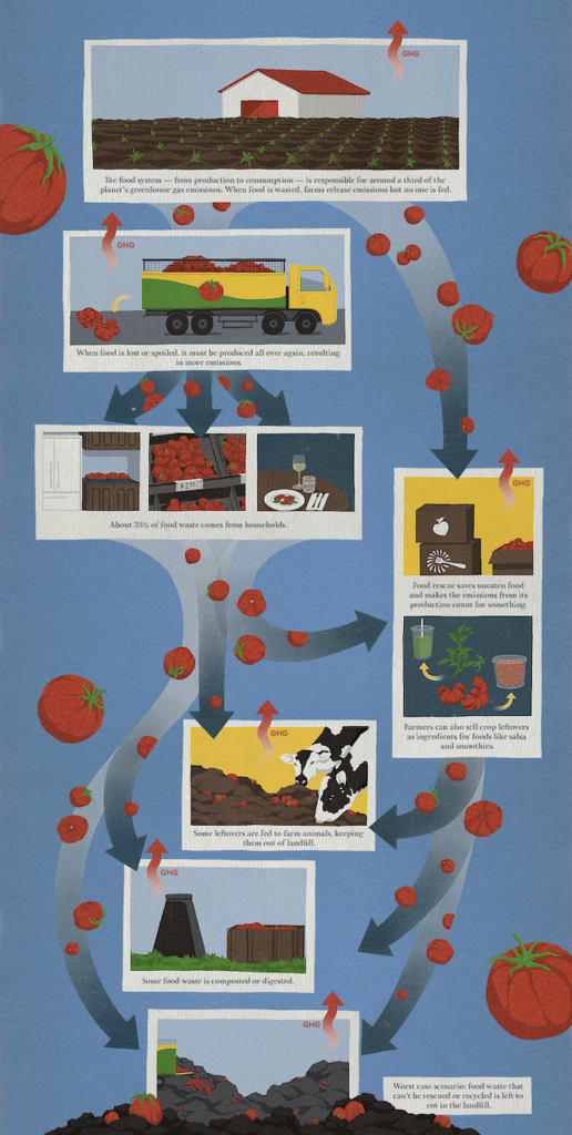 An infographic shows the life cycle of food waste