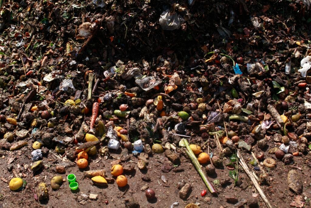 A large pile of food waste at a facility