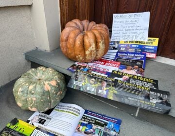 Election 2025 Decision Notes New Jersey A Halloween display of unwanted campaign fliers