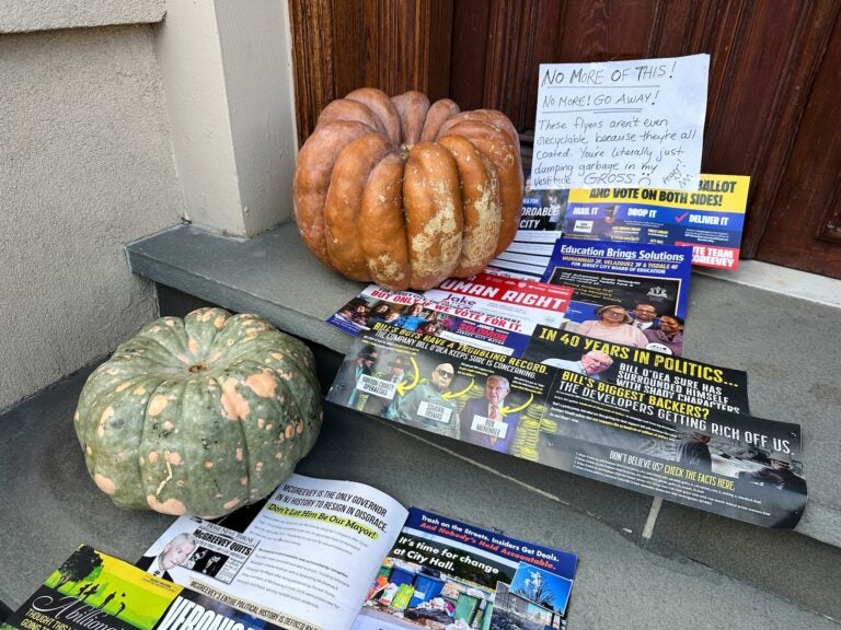 Election 2025 Decision Notes New Jersey A Halloween display of unwanted campaign fliers