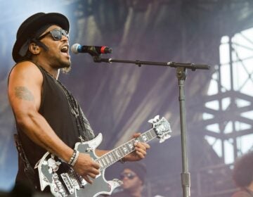 D'Angelo performs at the 
