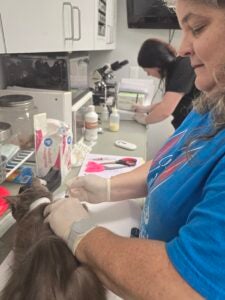 A vet us administering a shot to a cat