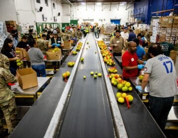 Government Shutdown Volunteers sorting food at a food bank