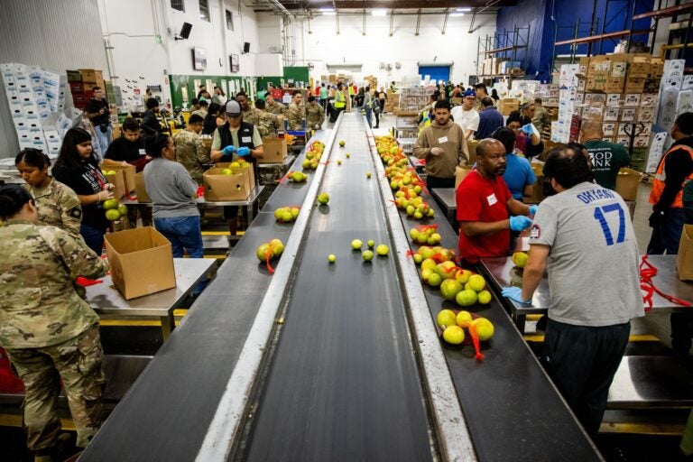 Volunteers sorting food at a food bank