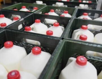Government Shutdown Food Aid What to Know File: Crates of milk are seen at a food bnk warehouse on July 2, 2025.