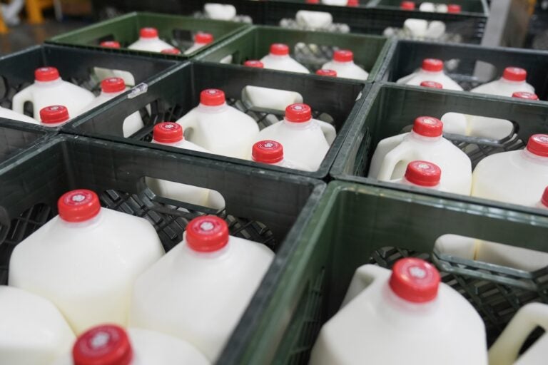 Government Shutdown Food Aid What to Know File: Crates of milk are seen at a food bnk warehouse on July 2, 2025.