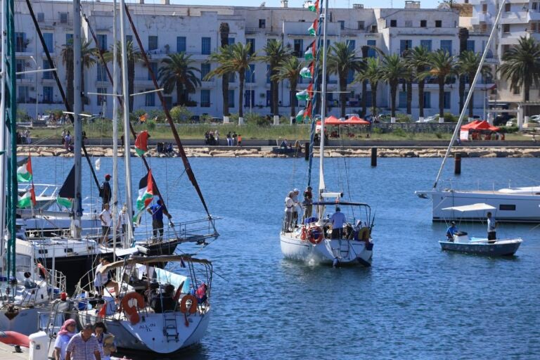 Several boats in a port