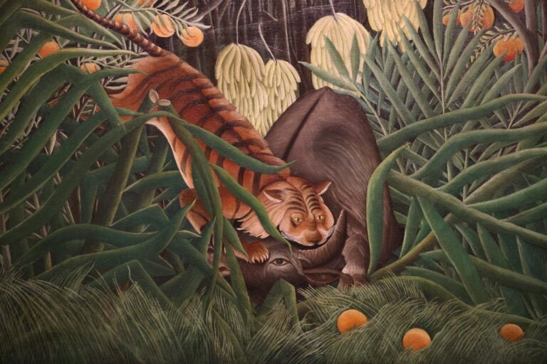 ''Fight between a Tiger and a Buffalo'' (1908) by Henri Rousseau