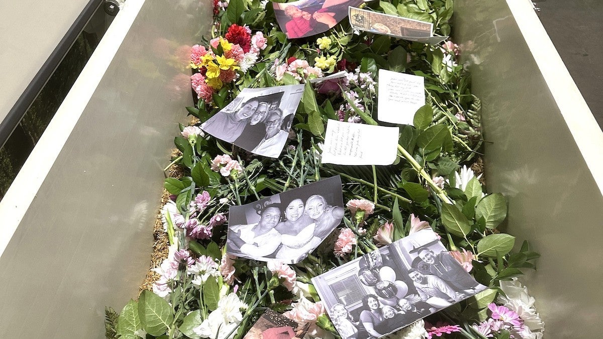 flores, fotos y notas