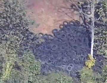 An aerial shot of tires in a forested area near Northeast Philadelphia Airport