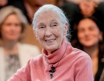 Jane Goodall smiling while speaking on a panel