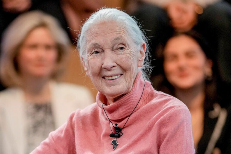 Jane Goodall smiling while speaking on a panel