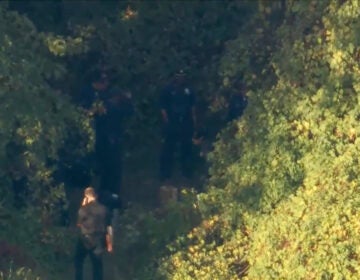 Philadelphia police search a wooded area