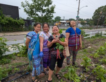 Four women pose for a photo in a garden