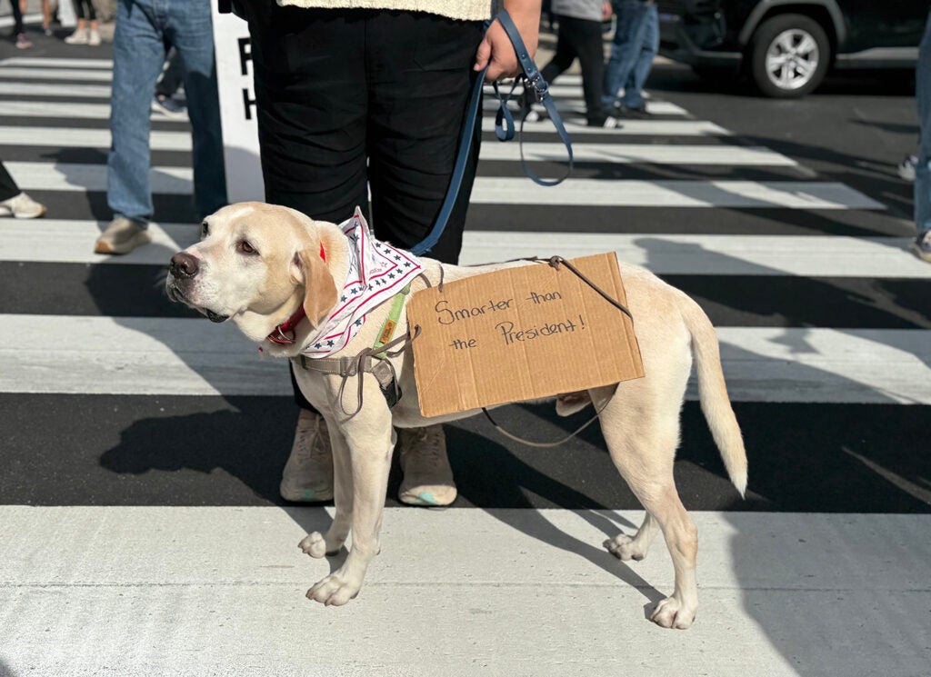‘’No Kings’’ protesters gather at Philadelphia City Hall on Oct. 18, 2025.