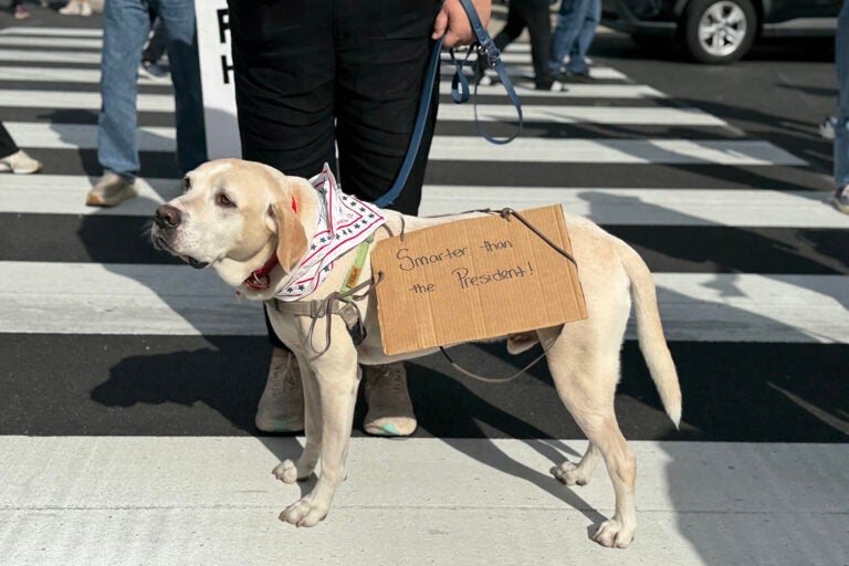 ‘’No Kings’’ protesters gather at Philadelphia City Hall on Oct. 18, 2025.