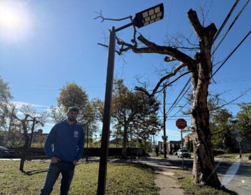 philadelphia-solar-streetlight A man stands underneath a solar-powered streetlight