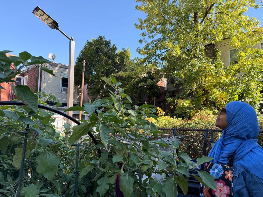 A woman in a blue headdress stands near plants that are underneath a solar-powered streetlight