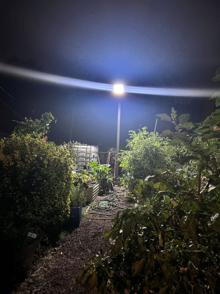 A solar-powered streetlight lights up the area in Philadelphia's Nicetown-Tioga neighborhood