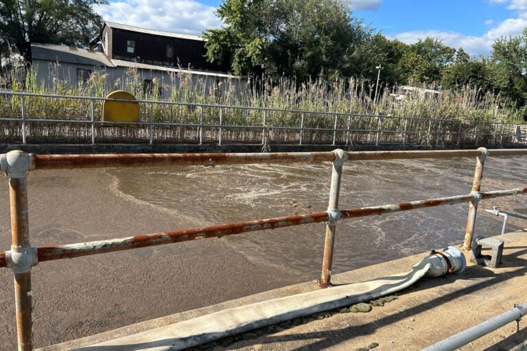 Sewage flowing through the plant