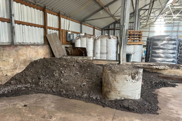 A large pile of hydrochar inside the plant