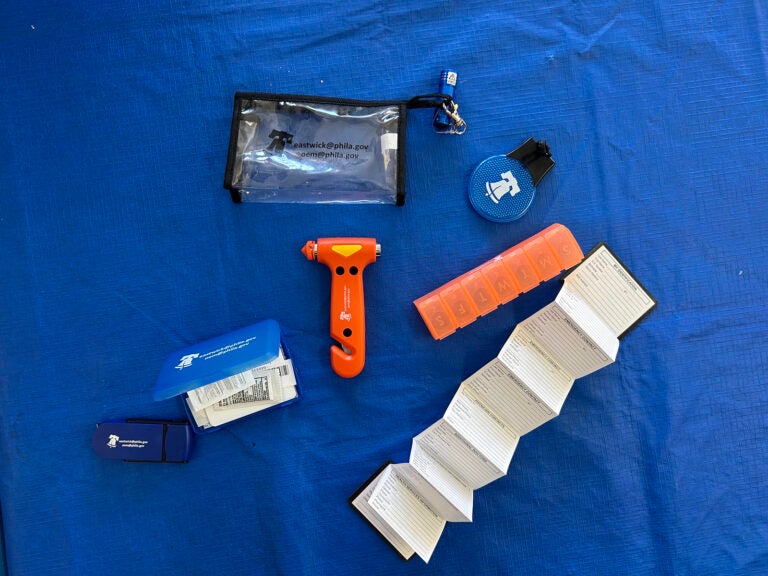 to-go-bag Contents of a mini go-bag